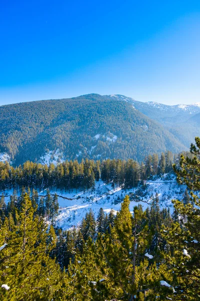 Paisagem de montanha no inverno ensolarado dia gelado com céu azul claro . — Fotografia de Stock