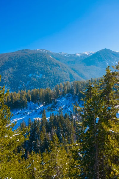 Mountain landscape in sunny winter frosty day with blue clear sky. — Stock Photo, Image