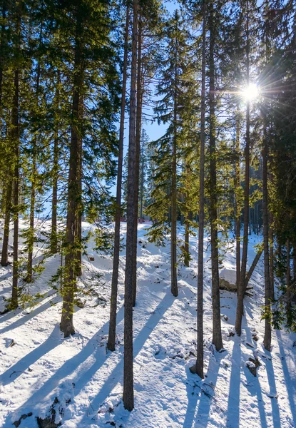 Mavi açık sk ile güneşli kış soğuk günde dağ manzarası — Stok fotoğraf