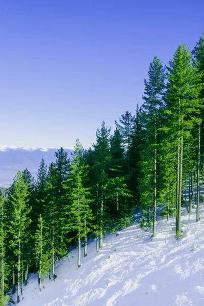 Berglandschap in zonnige frosty winterdag met blauwe duidelijk sk — Stockfoto