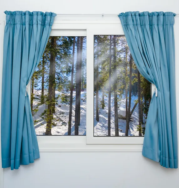 Pencereden görünüm