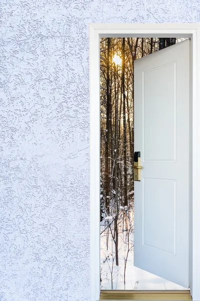 Открытая дверь и зимний лес — стоковое фото