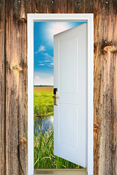 Porta aperta con vista sul prato verde illuminato da soli luminosi — Foto Stock