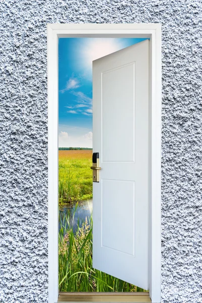 Puerta abierta con vista al prado verde iluminado por soles brillantes —  Fotos de Stock