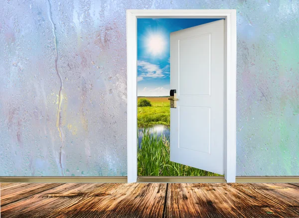 Open door with a view of green meadow illuminated by bright suns — Stock Photo, Image