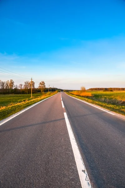 Road and the meadows — Stock Photo, Image