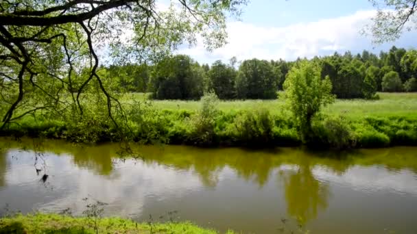 Paysage printanier 