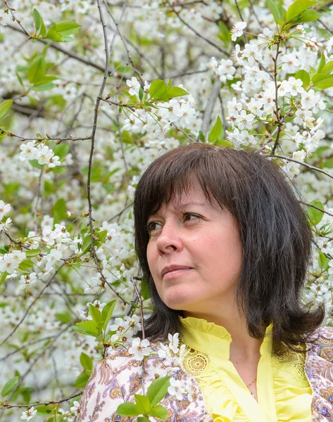 Porträt von brünetten Kirschgarten — Stockfoto