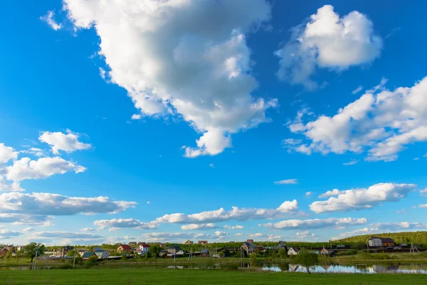 Gänseblümchen auf einer Wiese — Stockfoto