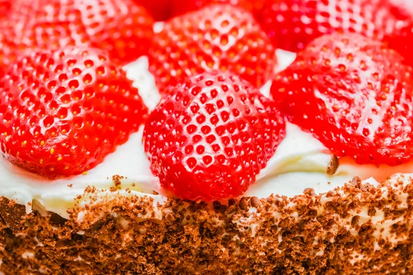 Fruit cake — Stock Photo, Image