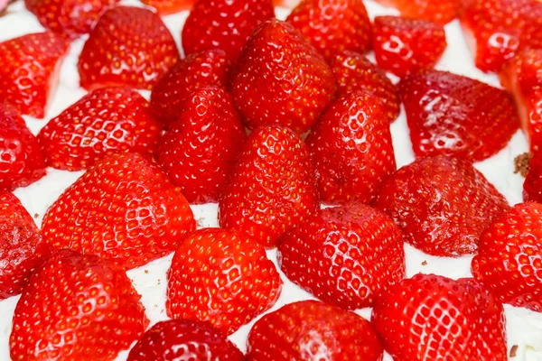 Pastel de frutas — Foto de Stock