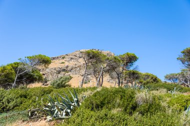 Yükseklerden deniz manzarası