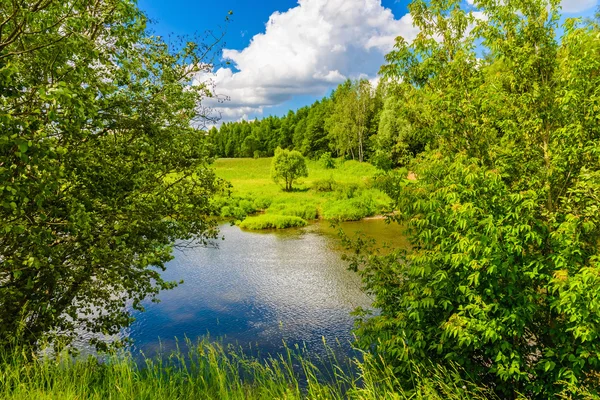 Spring landscape — Stock Photo, Image