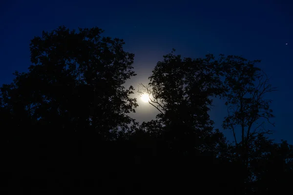 Volle maan nacht — Stockfoto