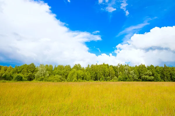 Pradera paisaje y cielo —  Fotos de Stock