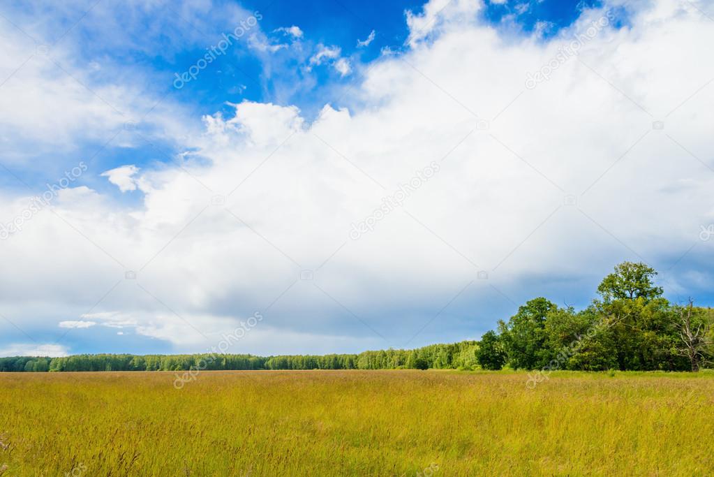 prairie landscape and sky