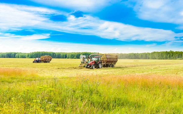 Tractor with a hay — Stock Photo, Image