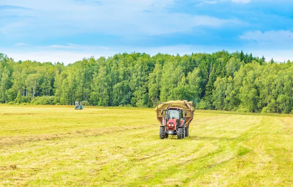Tractor with a hay — Stock Photo, Image