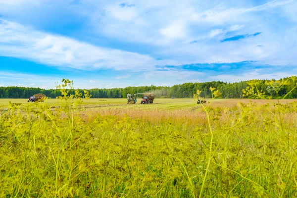 Tractor con heno — Foto de Stock