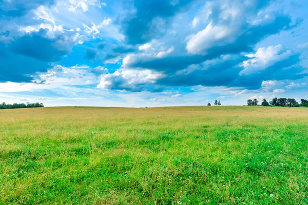 Pradera paisaje y cielo —  Fotos de Stock