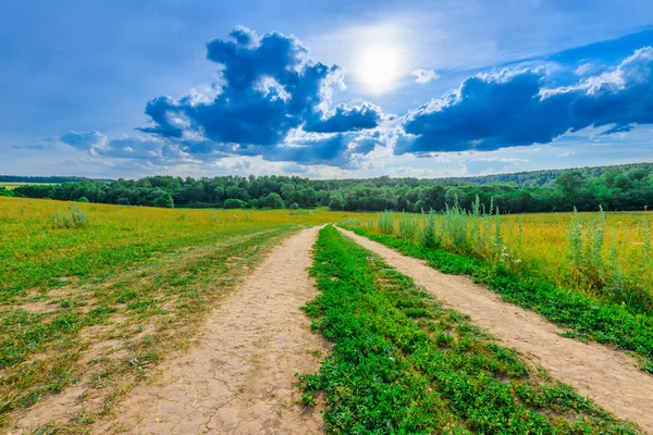 Dirt road in a field — Stock Photo, Image