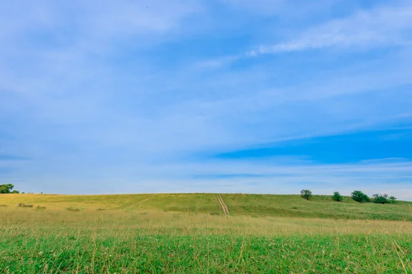 Pradera paisaje y cielo —  Fotos de Stock