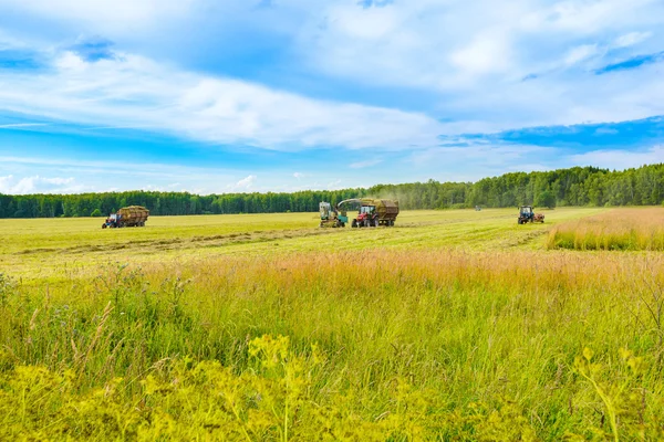 Tractor con heno —  Fotos de Stock