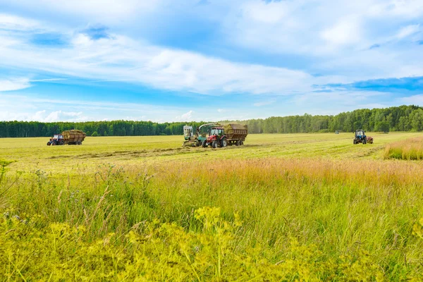 Tractor with a hay — Stock Photo, Image