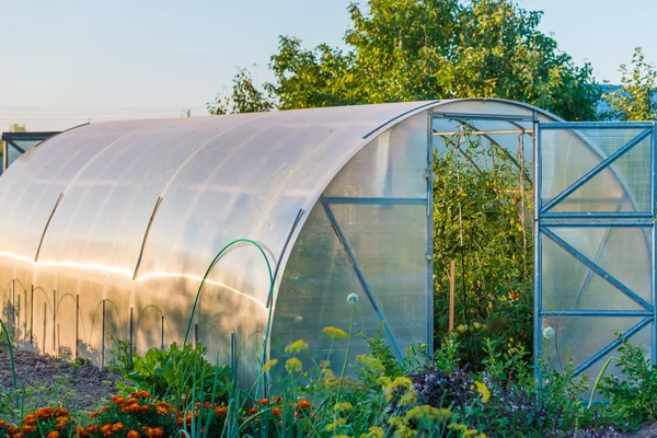 Arched greenhouse — Stock Photo, Image