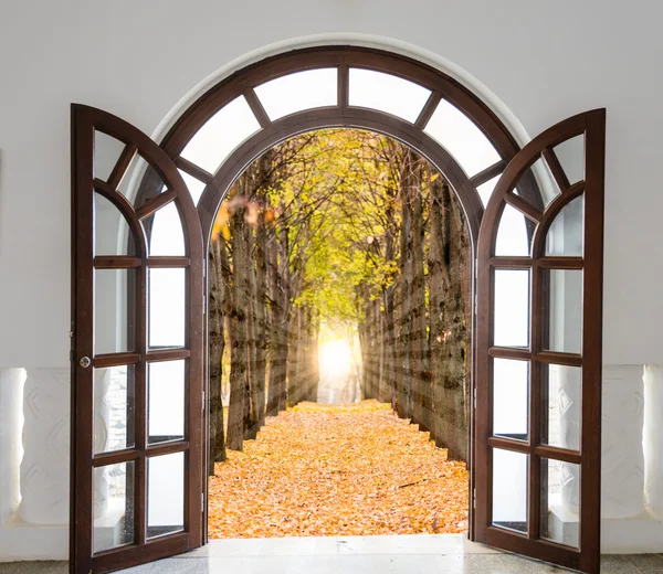 Puerta abierta con vista al prado verde iluminado por soles brillantes —  Fotos de Stock