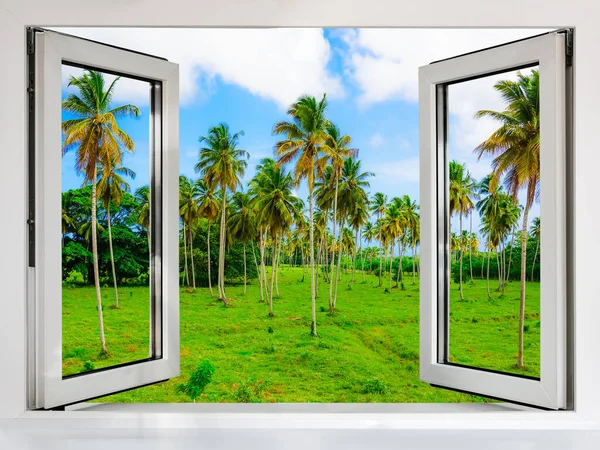 Vista Desde Ventana Abierta Selva Naturaleza Verde Verano — Foto de Stock