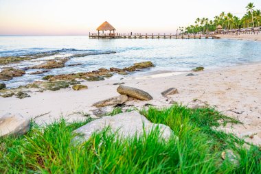 Deniz kenarındaki yeşil çimenler, sahil şeridi.