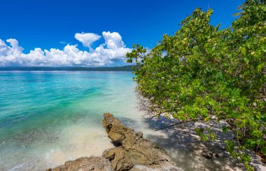 Atlantik Okyanusu 'nun güzel tropikal manzarası gökyüzüne karşı Palmiye Okyanusu Gökyüzü Karayipleri kıyısı