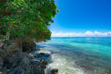 Atlantik Okyanusu 'nun güzel tropikal manzarası gökyüzüne karşı Palmiye Okyanusu Gökyüzü Karayipleri kıyısı