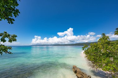 Atlantik Okyanusu 'nun güzel tropikal manzarası gökyüzüne karşı Palmiye Okyanusu Gökyüzü Karayipleri kıyısı