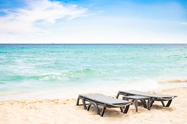 Cennet doğası, tropik bir sahilde deniz yeşil ağaçlı Dominik Karayipleri