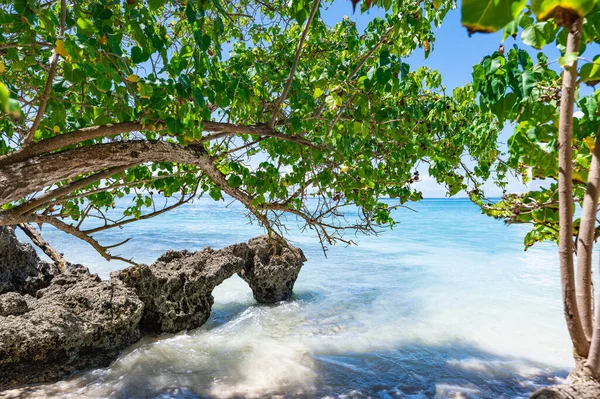 Atlantik Okyanusu 'nun güzel tropikal manzarası gökyüzüne karşı Palmiye Okyanusu Gökyüzü Karayipleri kıyısı