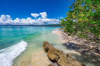 Atlantik Okyanusu 'nun güzel tropikal manzarası gökyüzüne karşı Palmiye Okyanusu Gökyüzü Karayipleri kıyısı