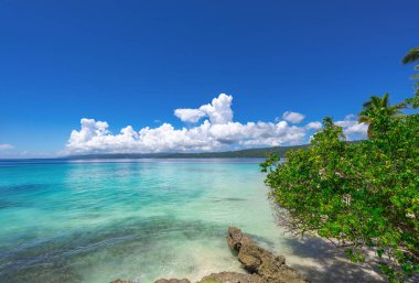 Atlantik Okyanusu 'nun güzel tropikal manzarası gökyüzüne karşı Palmiye Okyanusu Gökyüzü Karayipleri kıyısı