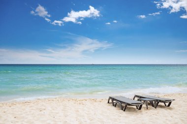 Cennet doğası, tropik bir sahilde deniz yeşil ağaçlı Dominik Karayipleri