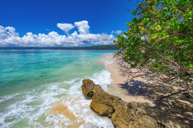Atlantik Okyanusu 'nun güzel tropikal manzarası gökyüzüne karşı Palmiye Okyanusu Gökyüzü Karayipleri kıyısı