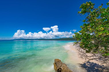 Atlantik Okyanusu 'nun güzel tropikal manzarası gökyüzüne karşı Palmiye Okyanusu Gökyüzü Karayipleri kıyısı