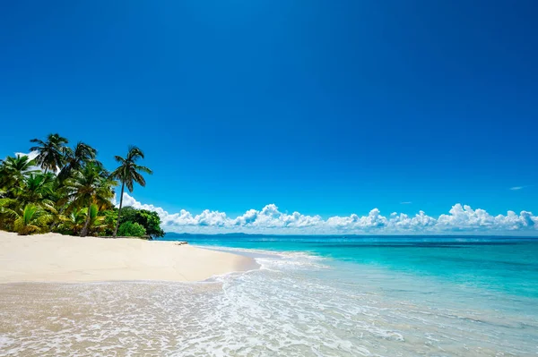 Сонячний Літній Пейзаж Узбережжі Видом Пальму Пальмовий Океан Рай — стокове фото