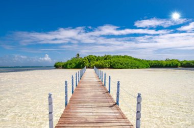 Dominik Cumhuriyeti sörf kumlu plaj ve sakin mavi Karayip Denizi