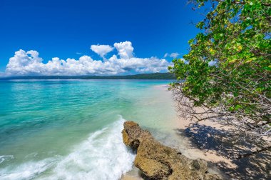 Atlantik Okyanusu 'nun güzel tropikal manzarası gökyüzüne karşı Palmiye Okyanusu Gökyüzü Karayipleri kıyısı