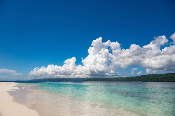 Grüne Palmenküste Der Karibik Einem Sonnigen Tag Vor Blauem Himmel — Stockfoto