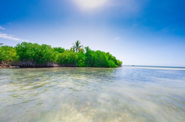 Dominik Cumhuriyeti yakınlarındaki Karayip Denizi 'ndeki küçük ıssız Catalinita adası.