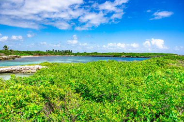 Dominik Cumhuriyeti yakınlarındaki Karayip Denizi 'ndeki küçük ıssız Catalinita adası.