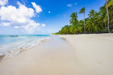 sihirli yer Cennet plaj Karayip Denizi resort Dominik Cumhuriyeti