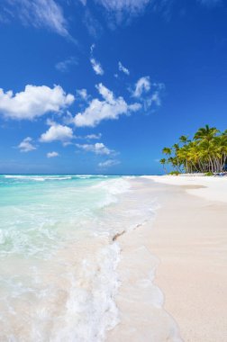 sihirli yer Cennet plaj Karayip Denizi resort Dominik Cumhuriyeti